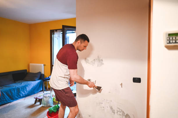 Best Local Mold Removal Service  in Odem, TX